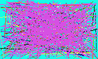 reverse telephone lookup