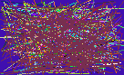 search for people